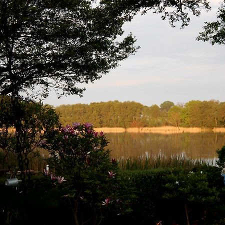 Bungalow Idylle Am See Neuruppin Zewnętrze zdjęcie