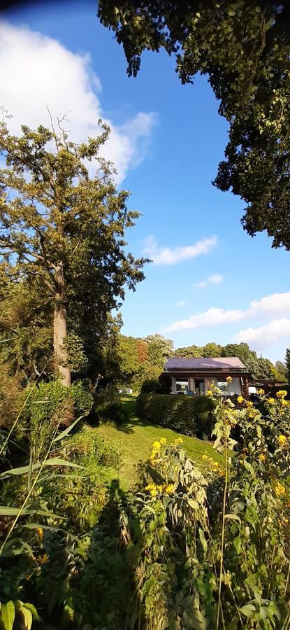 Bungalow Idylle Am See Neuruppin Zewnętrze zdjęcie