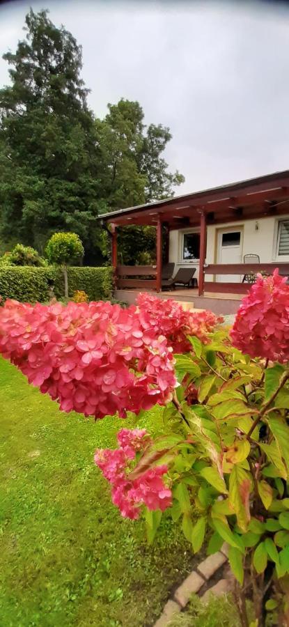 Bungalow Idylle Am See Neuruppin Zewnętrze zdjęcie