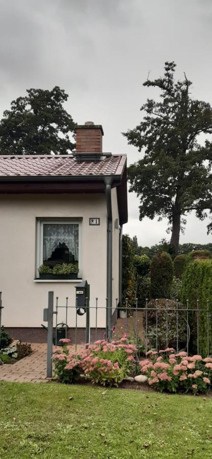 Bungalow Idylle Am See Neuruppin Zewnętrze zdjęcie