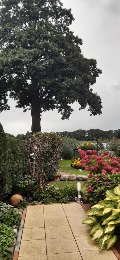 Bungalow Idylle Am See Neuruppin Zewnętrze zdjęcie