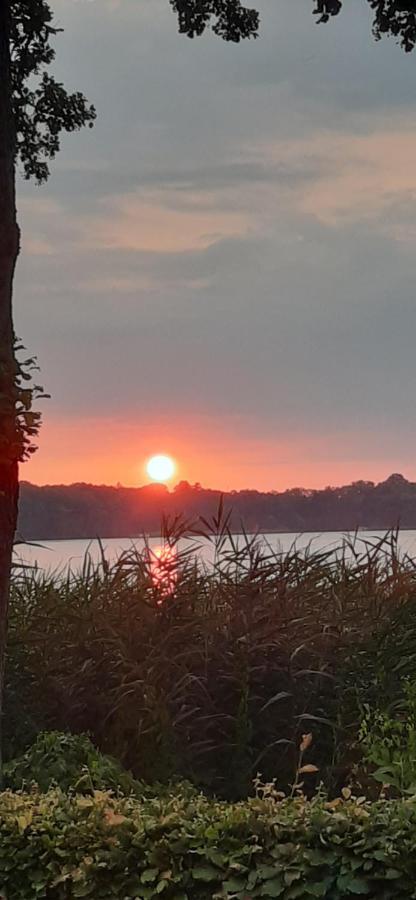 Bungalow Idylle Am See Neuruppin Zewnętrze zdjęcie