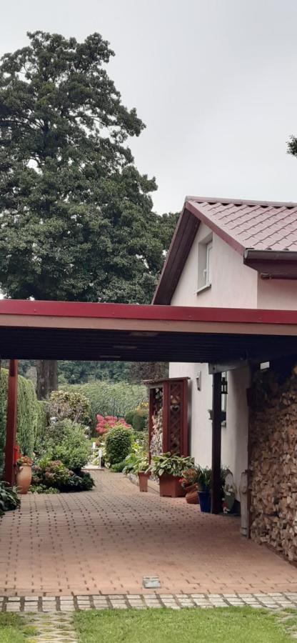 Bungalow Idylle Am See Neuruppin Zewnętrze zdjęcie